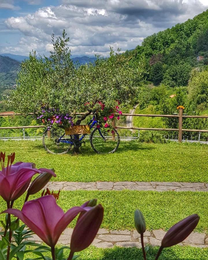 Relax Nella Natura Bolano Zewnętrze zdjęcie